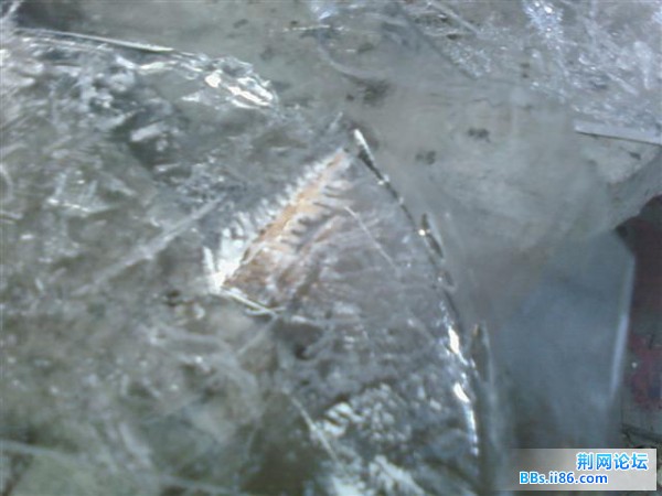 SP_A0281.jpg