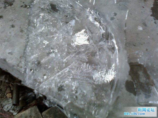 SP_A0280.jpg