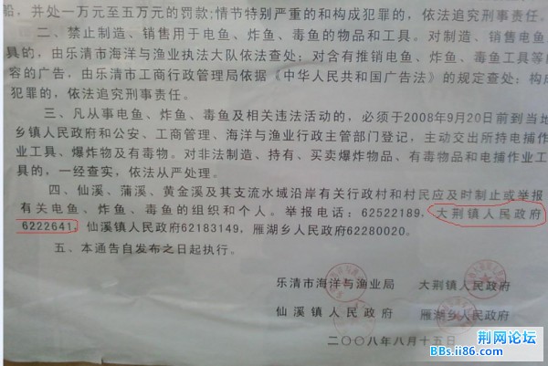 20090115.jpg