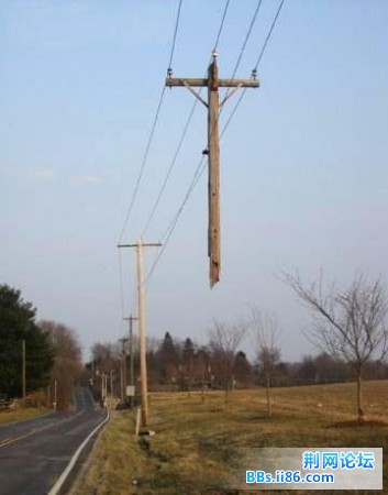 20090119_4f26e608b35be2553a2fnHUNzl7YBaYr.jpg
