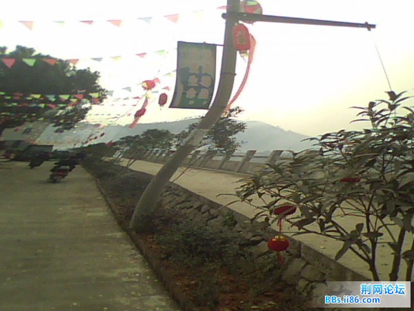 IMG0055A.jpg