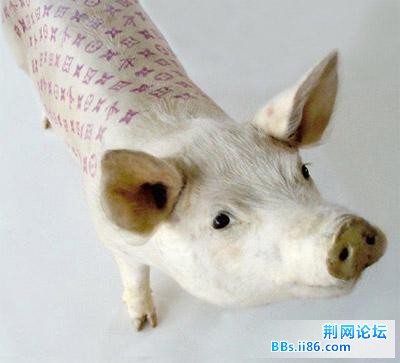 20090121_fe3d3e77674a18fa227frYu03mad5JYq.jpg