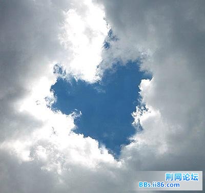 20081231_d3fbdda98de2c654b8c1pIS5rTvPl57Z.jpg