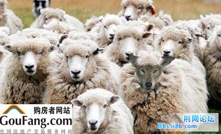 20090124_da687f526eae5876ca5foxEesYie3QKu.jpg