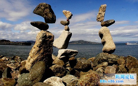 20090125_f372c344476df3ccd5b4iirW5FNP7a9w.jpg
