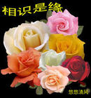 u=329629525,2806042515&amp;fm=3&amp;gp=41[1].jpg