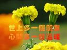 u=383082056,1712755714&amp;fm=3&amp;gp=41[1].jpg