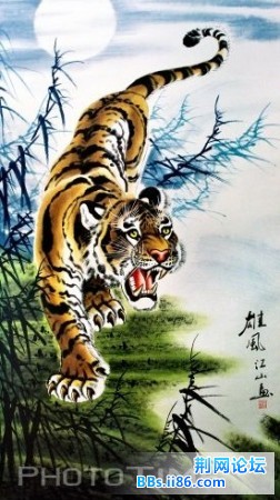 飞过.jpg