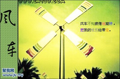 1_200806262002362PFv8.jpg