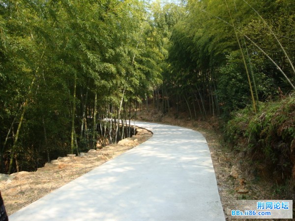 上山的路.jpg