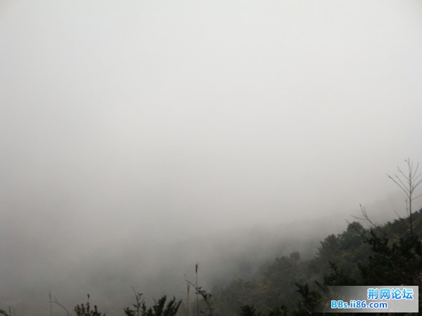 山顶好大的雾啊.jpg