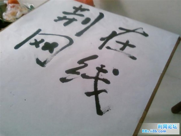 SP_A0439.jpg