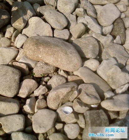 SP_A0331.jpg