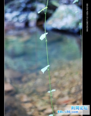 nEO_IMG_nEO_IMG_081018.jpg