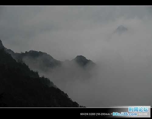 nEO_IMG_nEO_IMG_百岗山080308.jpg