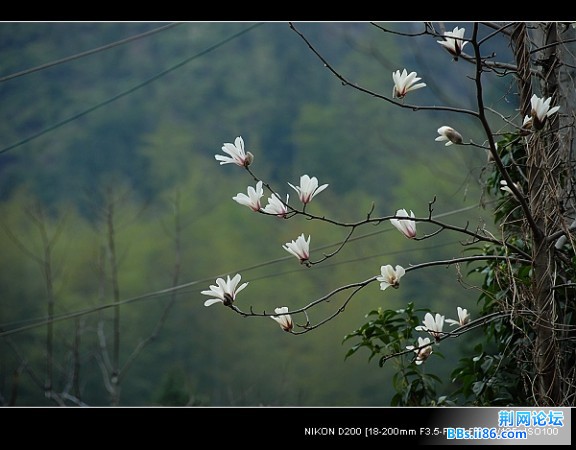 nEO_IMG_太湖山080315.jpg