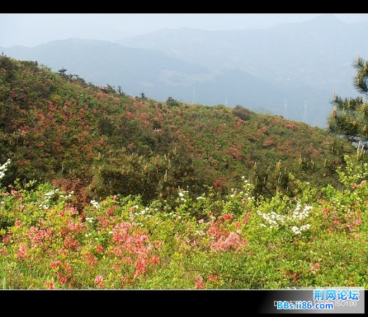 nEO_IMG_太湖山080422.jpg