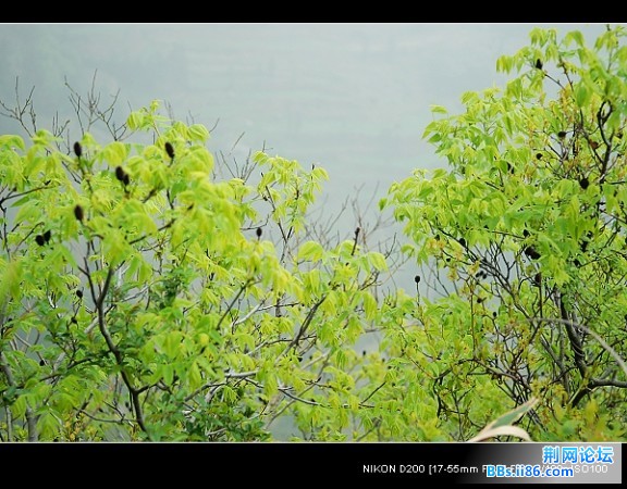 nEO_IMG_银坑080412a.jpg