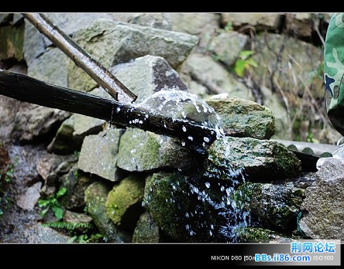 nEO_IMG_nEO_IMG_081001雁湖.jpg