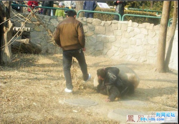 20090212_77982427c92370d733ccJp2MWlAKoPLV.jpg