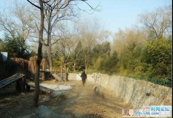 20090212_f7fba87a30d30b8c15f68jOWw65gnmZq.jpg