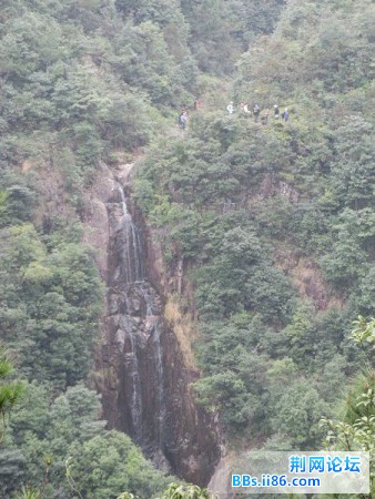 IMG_2837.jpg