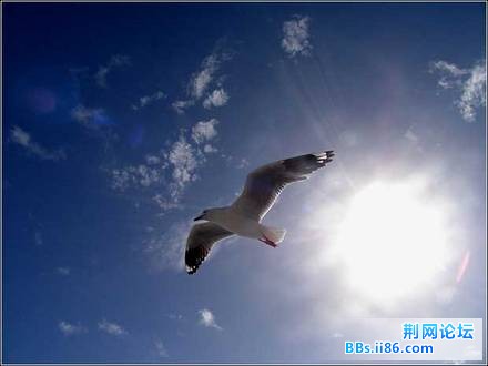 20060507chen74_thumb.jpg