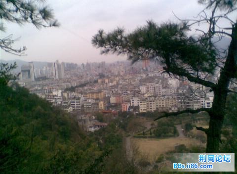 图像015.jpg