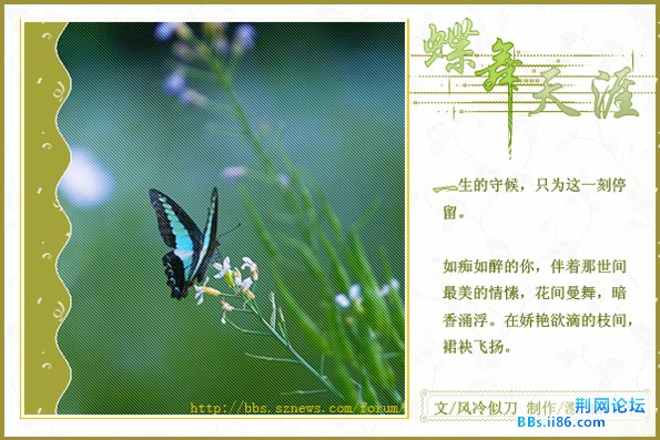 U200709021188715627905.jpg