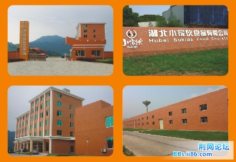小家伙.jpg