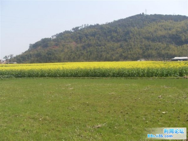 SDC13160.JPG