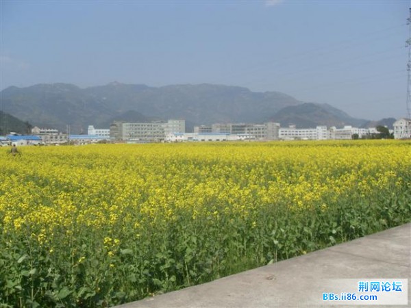 SDC13161.JPG