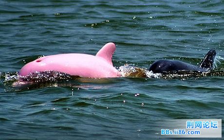 20090316_4560fb9ca6e7ab9497f7l2qvittiwx1S.jpg