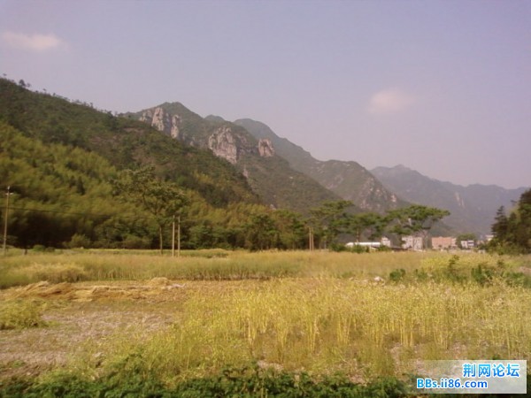 浓厚的乡野气息，好美