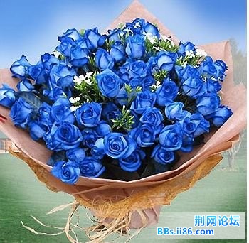 20081220_4783f281d0b69c88936cIeU0x96wcwIe.jpg