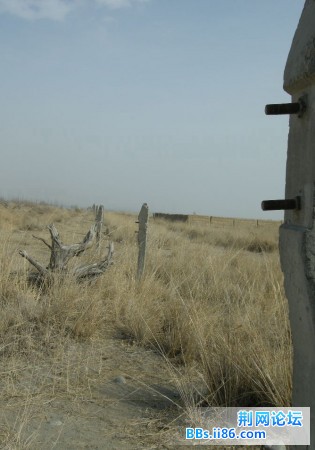9079.JPG