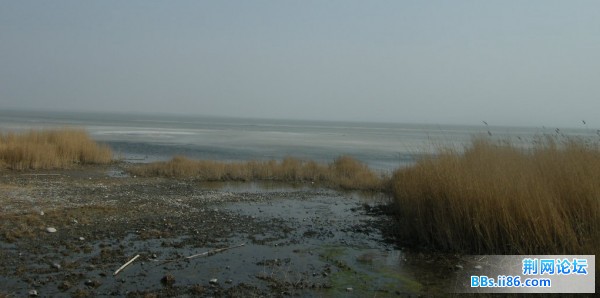 9150.JPG