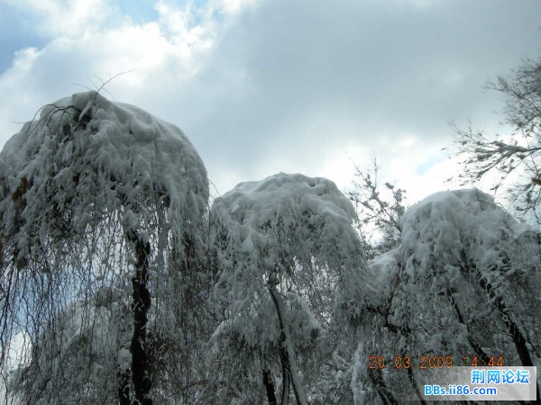 红山 056.jpg
