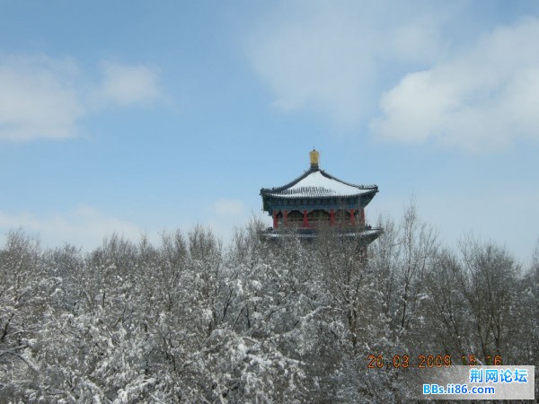 红山 111.jpg