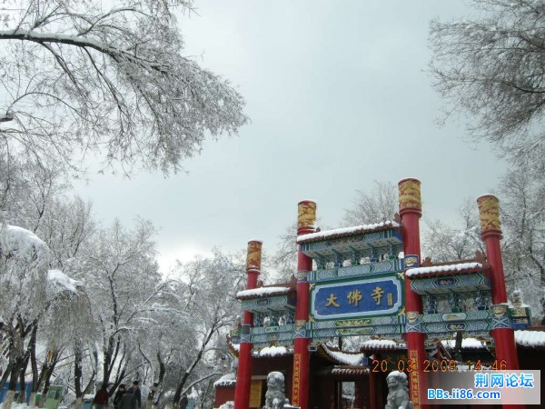 红山 065.jpg