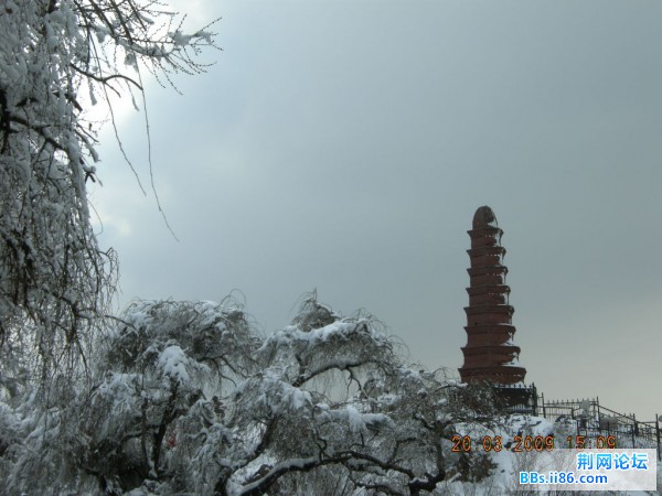 红山 094.jpg