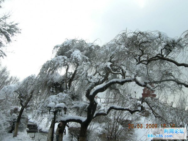 红山 096.jpg
