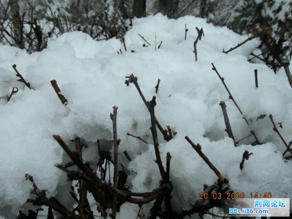 红山 049.jpg