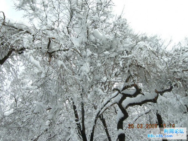 红山 095.jpg