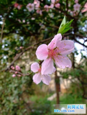 未命名08.jpg