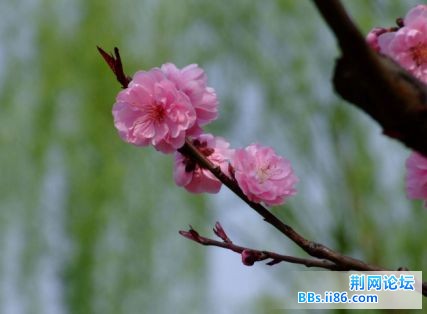 未命名.jpg