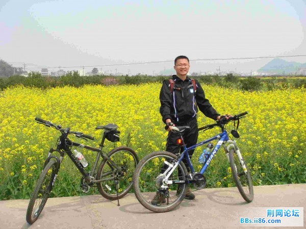 北山路口下来的油菜花田