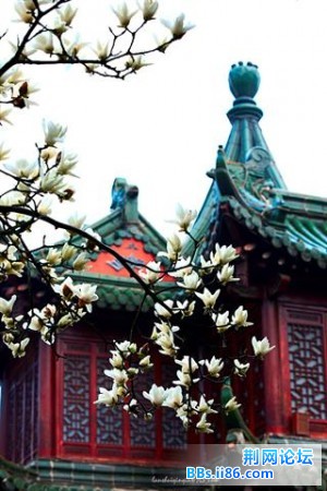 3 (小).jpg