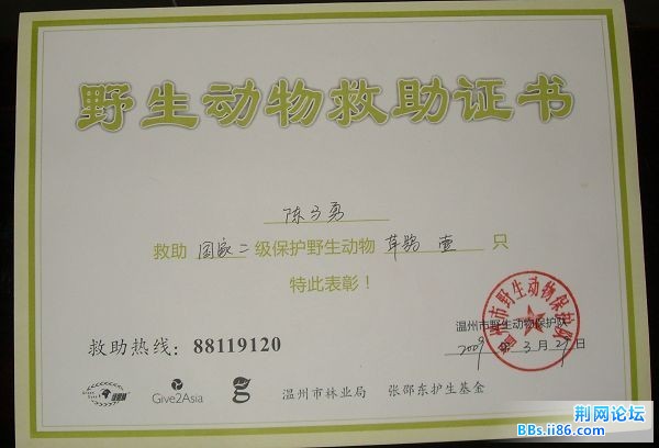 SDC13458.jpg