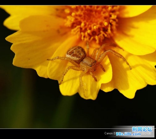 userid153095time20070716132711.jpg
